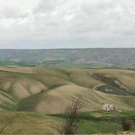 B&B Mantegna Irsina Mt 外观 照片