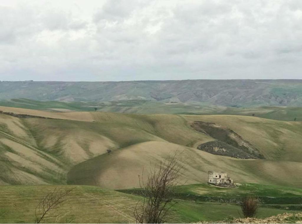 B&B Mantegna Irsina Mt 外观 照片